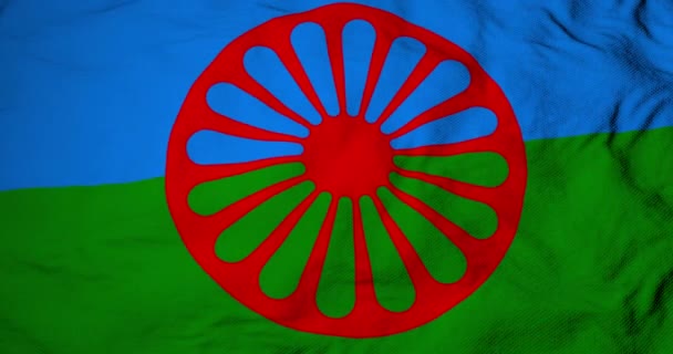 Volledige Frame Animatie Van Een Romani Vlag Zwaaiend — Stockvideo