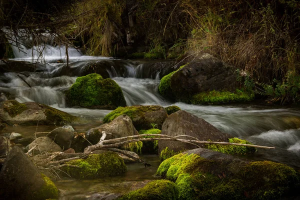 Горная Река Порогами Камни Мох Мир Красоты — стоковое фото