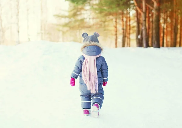 Silhouette d'un petit enfant marchant dans la forêt le jour d'hiver — Photo