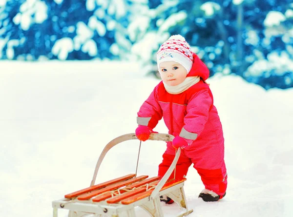 Lindo niño pequeño caminando con trineo en la nieve en el día de invierno —  Fotos de Stock