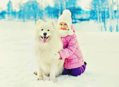 Kar kış beyaz Samoyed köpek ile mutlu gülümseyen çocuk