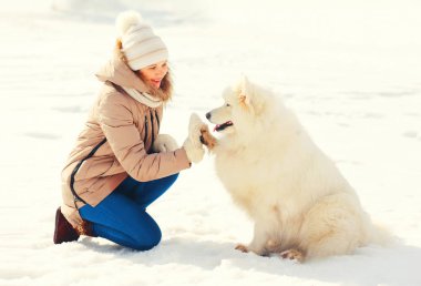 Kadın sahibi ve veren beyaz Samoyed köpek kış aylarında pençe 