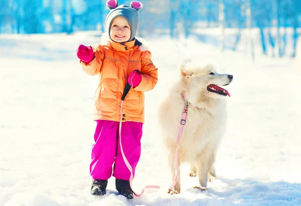 Glada barn med vita samojedvalpar hund på koppel på snö vinter — Stockfoto