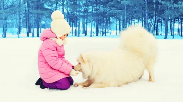 아이 겨울 날에 흰색 Samoyed 강아지와 함께 연주 — 스톡 사진