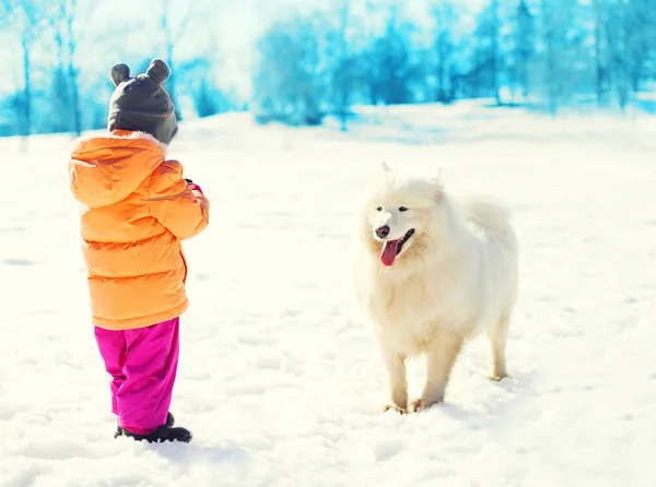 Dziecko z biały pies samojeda razem w zimowy dzień — Zdjęcie stockowe