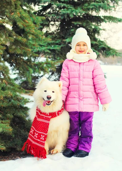 Barn med vita samojedvalpar hund i röd halsduk nära julgran på — Stockfoto