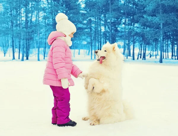 Barn med vita samojedvalpar hund spelar på snö vinter ger tass — Stockfoto