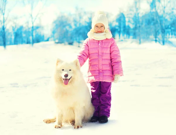 Glada lilla barnet och vit samojedvalpar hund på snö vinter — Stockfoto