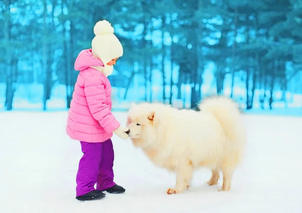 Små barn leker med vita samojedvalpar hund i vinterdag — Stockfoto