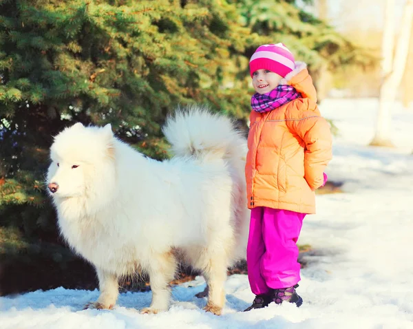 Litet barn gå med vita samojedvalpar hund på snö i vinter da — Stockfoto