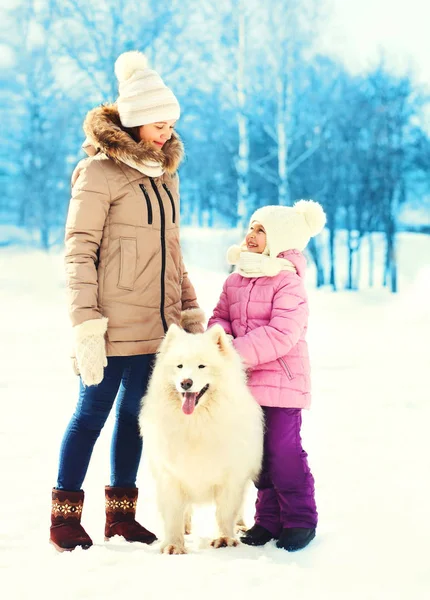 Mor och barn med vit samojedvalpar hund promenader i vinterdag — Stockfoto
