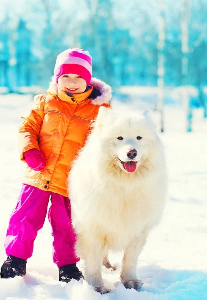 Smiling child and white Samoyed dog playing on snow winter — Stock Photo, Image