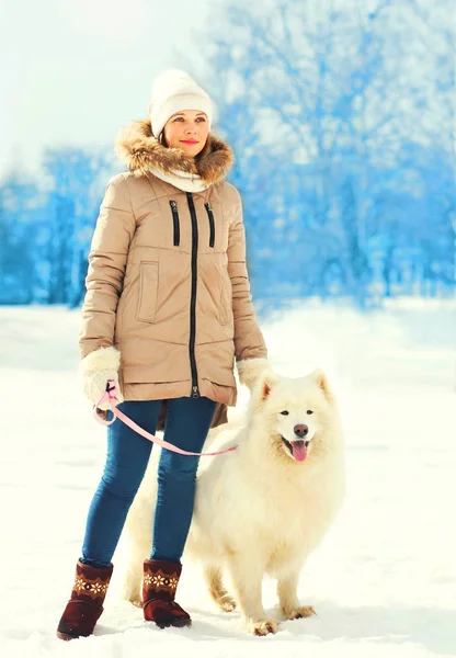 Femme propriétaire et chien blanc Samoyed en laisse marchant en hiver par — Photo