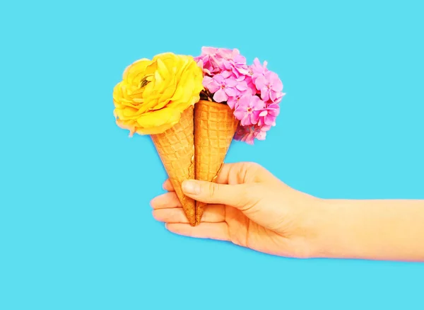 Tangan memegang dua es krim kerucut dengan bunga di atas backgroun biru — Stok Foto