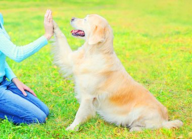Sahibi onu Golden Retriever köpek park, çimlerin üzerine eğitim gi
