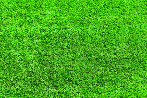 Green grass texture for background, empty copy space, nature abs — Stock Photo, Image