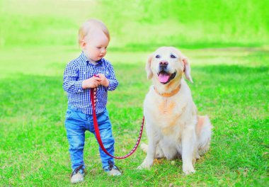 çocuk ile Golden Retriever köpek çim üzerinde bir miktar üzerinde oynuyor