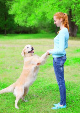 Mutlu sahibi kadın gr üzerinde onu Golden Retriever köpek eğitiyor