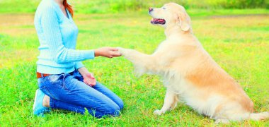 sahibi bir kadındır eğitim Golden Retriever köpek çimlerin üzerine veriyorsun