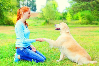 sahibi kadınla çimenlerin üzerinde onu Golden Retriever köpek eğitim g