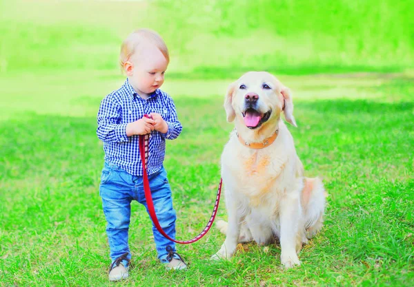 Criança está brincando com Golden Retriever cão na grama em uma soma — Fotografia de Stock