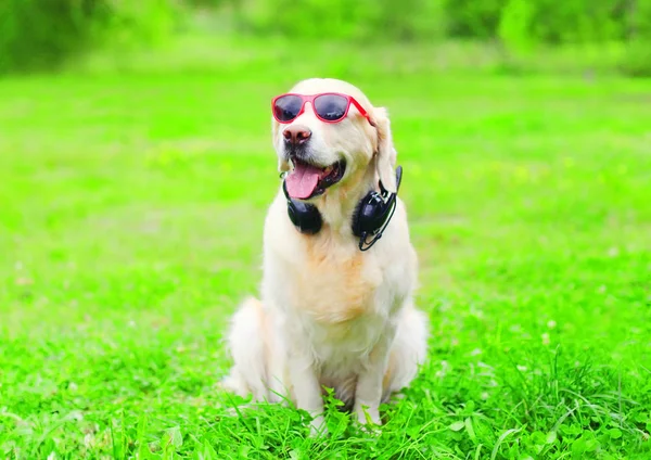 Golden Retriever cão em um óculos de sol vermelho com fones de ouvido é lista — Fotografia de Stock