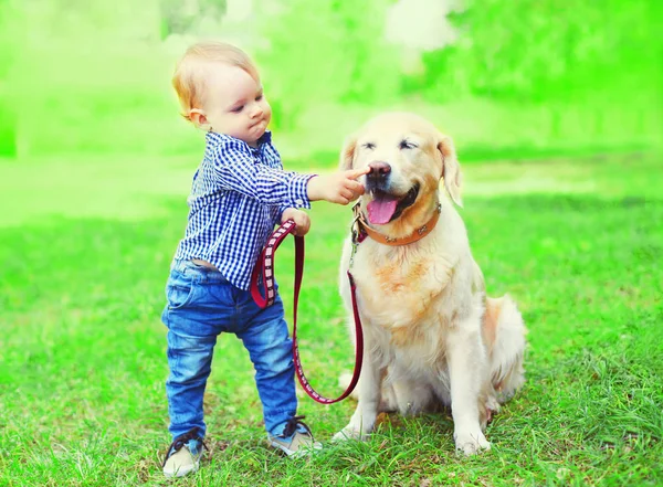 Menino criança está brincando com Golden Retriever cão na gra — Fotografia de Stock