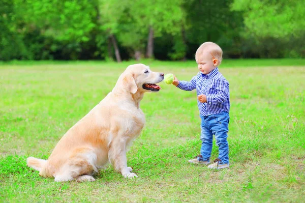 Litet barn med Labrador retriever hund spelar tillsammans wit — Stockfoto