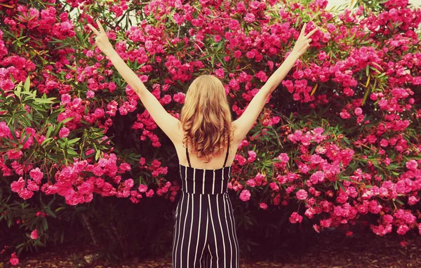 Mutlu Genç Kadın Ellerini Kaldırır Pembe Güllerin Üzerine Arka Plan — Stok fotoğraf