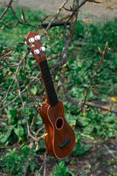 Een Gitaar Voor Een Grappig Kind Muziekinstrument Hangend Tuin Aan — Stockfoto