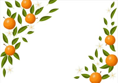 Portakal, yaprak ve çiçeklerle dekoratif tropikal çerçeve