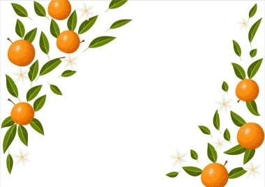 Decorative tropical frame with orange, leaves and flowers clipart