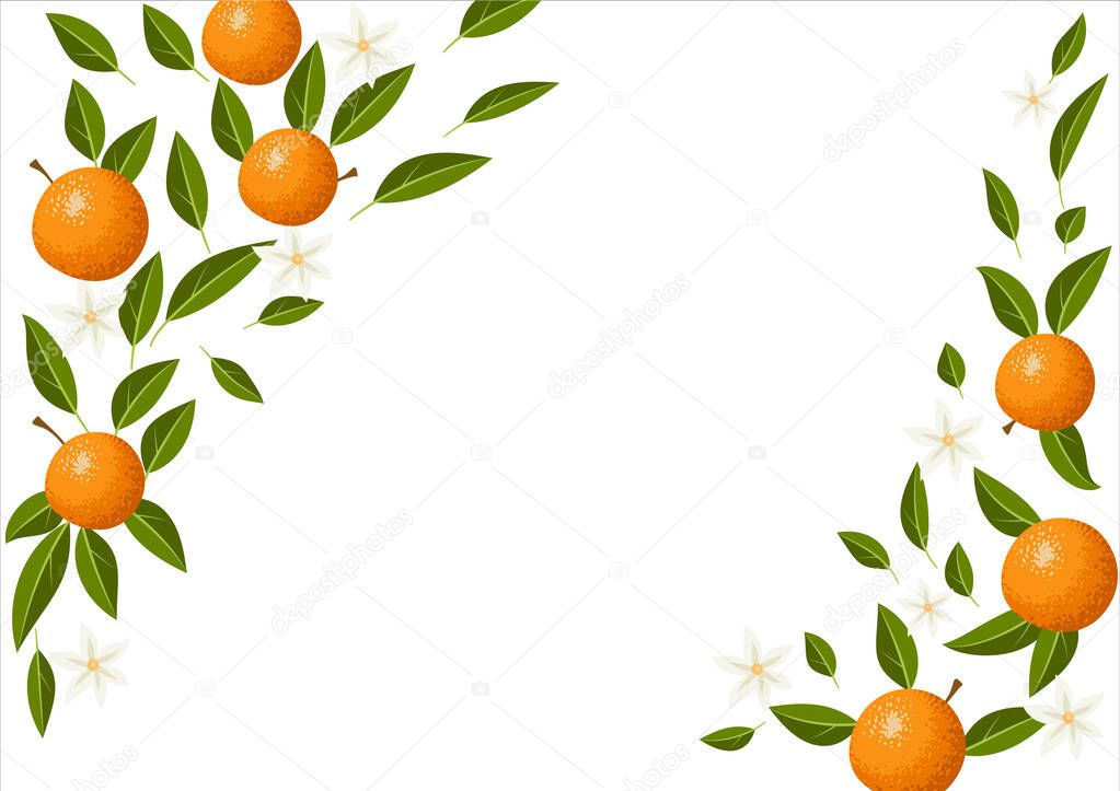 Decorative tropical frame with orange, leaves and flowers