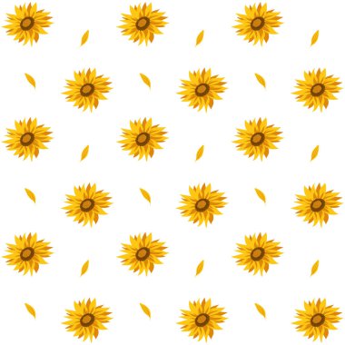 Beyaz arka planda ayçiçekleri olan kusursuz bir desen. Yaz vektörü illüstrasyonu