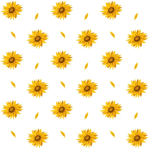Beyaz arka planda ayçiçekleri olan kusursuz bir desen. Yaz vektörü illüstrasyonu