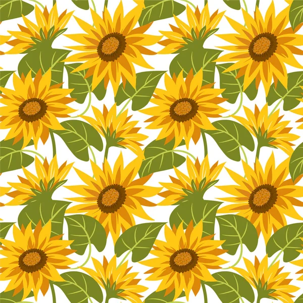 Beyaz arka planda ayçiçekleri olan kusursuz bir desen. Yaz vektörü illüstrasyonu