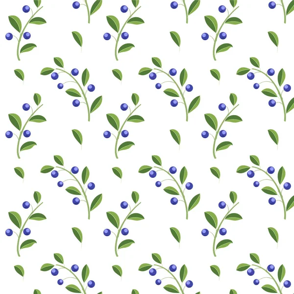 Beyaz arkaplanda yaban mersini, kusursuz vektör deseni