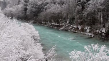 RATECE, SLOVENIJA - 2 Ocak 2015: Slovenya 'daki Sava Dolinka nehrinde kış soğuğu