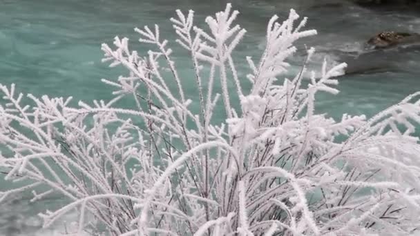 Ratiece Slovenija January 2015 Winter Frost River Sava Dolinka Slovenia — 图库视频影像