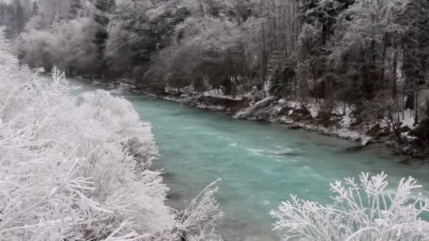 Ratece Slovenija Januari 2015 Vinterfrost Vid Floden Sava Dolinka Slovenien — Stockvideo
