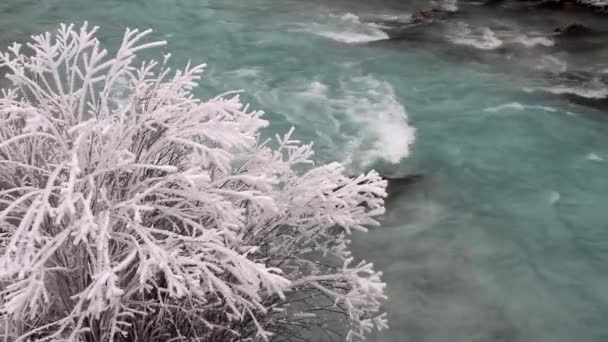 Ratece Slovenija Januari 2015 Vinterfrost Vid Floden Sava Dolinka Slovenien — Stockvideo