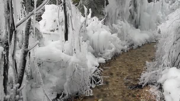 Mojstrana Σλοβενια Ιανουαριου 2011 Πάγος Και Χειμωνιάτικος Παγετός Στη Μοϊστράνα — Αρχείο Βίντεο