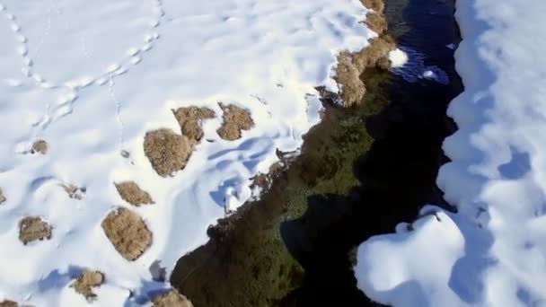 Julierpass Zwitserland December 2015 Een Drone Vlucht Boven Een Beek — Stockvideo