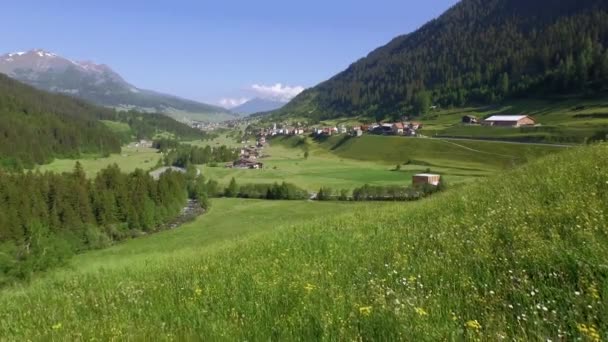 Surses Switzerland Juni 2015 Gröna Dalen Oberhalbstein Väg Till Julier — Stockvideo