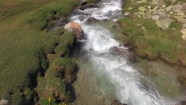 Surses Switzerland June 2017 Drone Flight Mountain Creek Valley Oberhalbstein — стокове відео