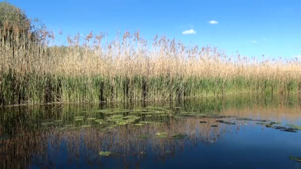 NEERACH, SUISSE - 4 AVRIL 2020 : Avec une superficie de 105 hectares, le Neeracher Ried est l'une des dernières grandes tourbières plates de Suisse .