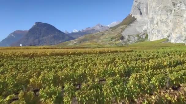 Sion Suiza Octubre 2016 Escénica Toma Aérea Del Colorido Paisaje — Vídeos de Stock