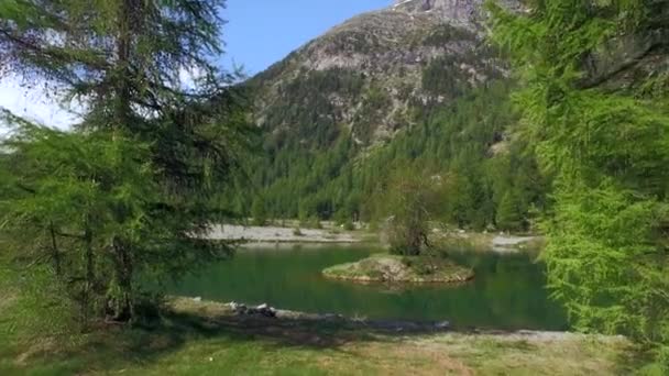 ポントレシーナ スイス 2015年6月6日 モルタッチ氷河につながる谷のふもとにあるモルタッチキャンプの前の池の島 — ストック動画