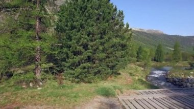 PONTRESINA, SWitzERLAND - 6 Haziran 2015: Cennet gibi yeşil Morteratsch vadisindeki ahşap köprüyü geçmek. Düşük İHA uçuşu - yansımayı göster.