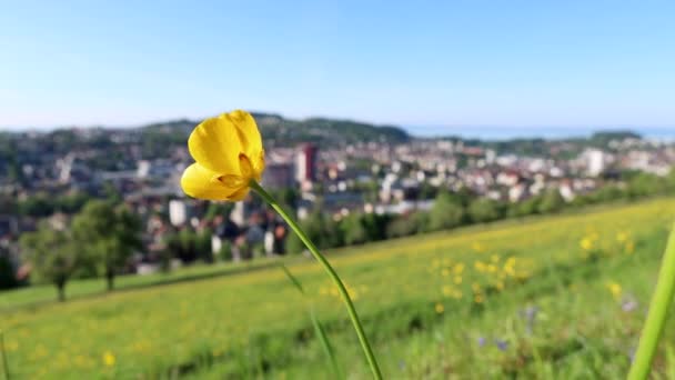 Sankt Gallen Švýcarsko Května 2020 Gallen Město Jižně Bodamského Jezera — Stock video
